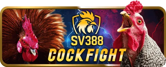 Cá cược thể thao tại v7sb chính thức